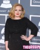 Grammy Awards 2012: Adele trionfa nel ricordo di Whitney Houston