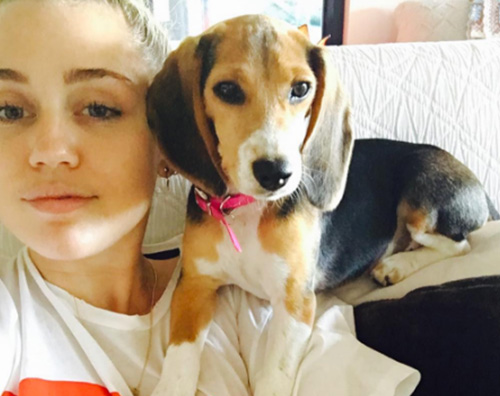 Miley Cyrus presenta il suo nuovo cagnolino