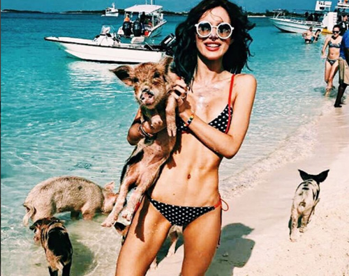 Bella Thorne nuota con i maiali alle Bahamas