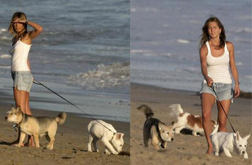  Jennifer Aniston a spasso con i suoi cani