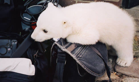 leonardomakingvanity2 Leonardo di Caprio su Vanity Fair