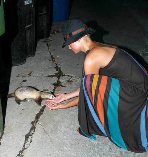  Paris Hilton rovista tra limmondizia