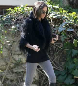 posh pellicciotto Victoria cerca casa