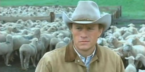 sheep Animali maltrattati in Brokeback Mountain?
