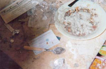 whitbath Il bagno di Whitney Houston