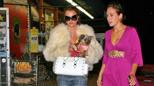 britney spears pace restaurant 14 Il giudice sospende le visite di Britney ai suoi figli