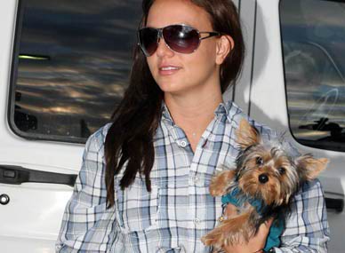 britney spears sex tape oddio Il filmino hard di Britney Spears?