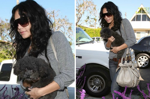 cagnoelttov Vi piace il cane di Vanessa Hudgens?