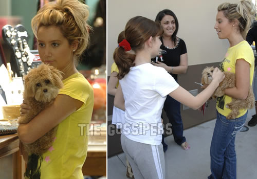ashleycan Ashley Tisdale a spasso con il cucciolo