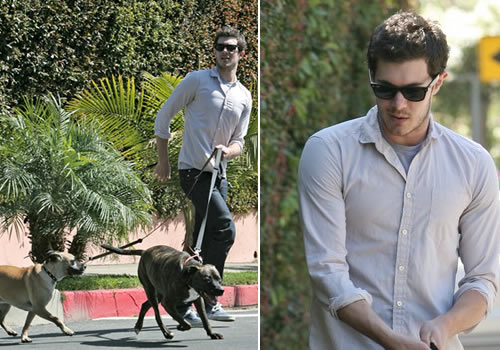 brodycagnolotti Adam Brody a spasso con i cani