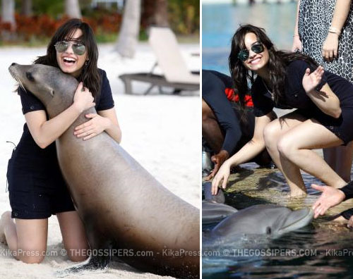 lovato foca Demi Lovato tra delfini e leoni marini