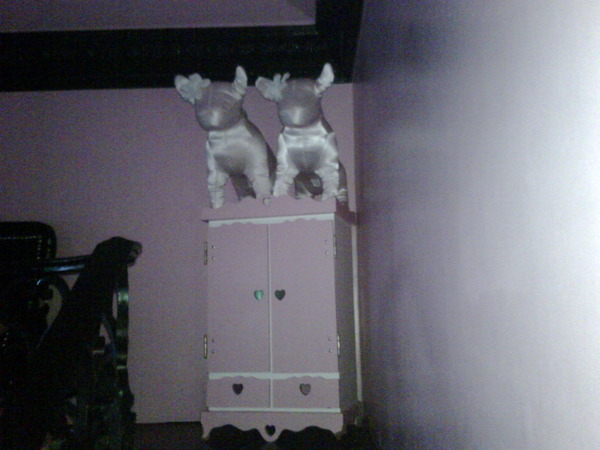 11561467 5381 I cani di Paris Hilton hanno una villa!