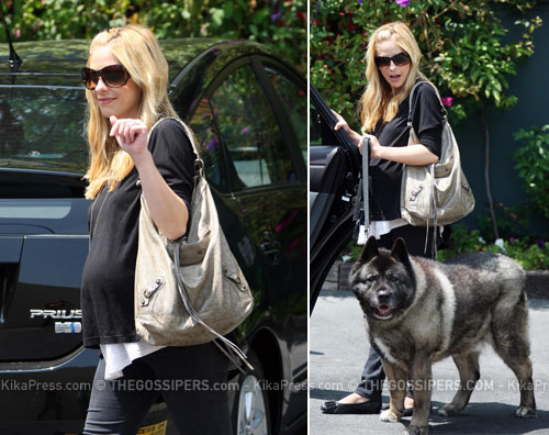 sarahmichelleincinta Sarah Michelle Gellar porta a spasso il cane