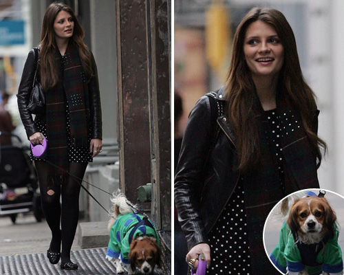 mischa cane Mischa Barton veste il suo cane