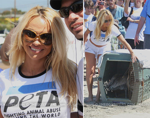 pamela libera Pamela Anderson aiuta la Louisiana