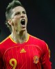 torres1 80x100 FOTO GALLERY: Fernando Torres e Cristiano Ronaldo ai Mondiali