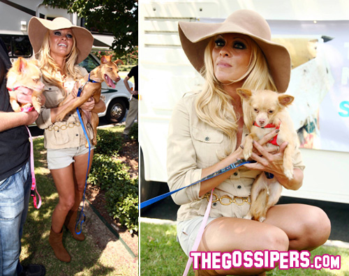pamela anderson cani2 Pamela Anderson aiuta i cani abbandonati