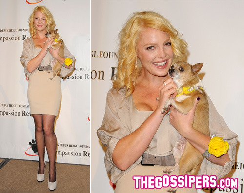 heigl cani Katherine Heigl ricorda il fratello facendo del bene