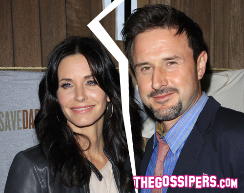 courtney david Courtney Cox e David Arquette si separano