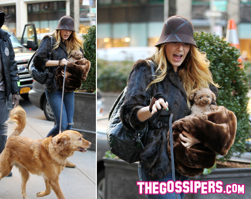 blake lively cani Blake Lively porta i suoi cuccioli sul set