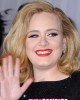 FOTO GALLERY: Il red carpet dei Grammy Awards 2012 grammy adele1 80x100 FOTO GALLERY: Il red carpet dei Grammy Awards 2012