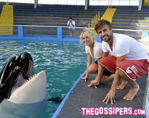 shak pique orca Shakira posa con lorca allacquario di Miami