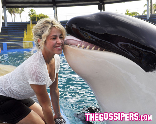 shakira orca Shakira posa con lorca allacquario di Miami