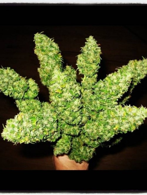 a256452a771911e2bc2222000a1f98f9 7 3 4 r536 c534 500x665 Rihanna è una stilista alla London Fashion Week