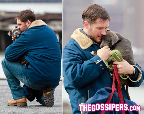 Tom Hardy tenero con un cucciolo di pitbull hardy2 Tom Hardy tenero con un cucciolo di pitbull