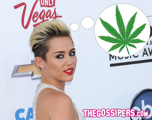 mileymaria Miley Cyrus preferisce lerba allalcol