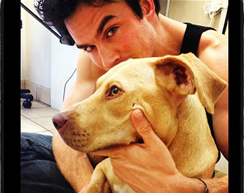 ian somerhalder Ian Somerhalder sta per diventare nonno!