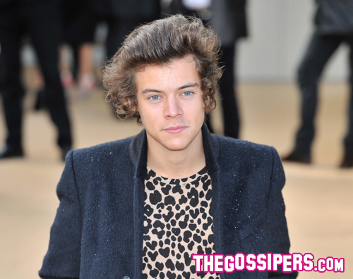 harry Harry Styles leopardato per Burberry