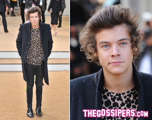 harry2 Harry Styles leopardato per Burberry