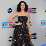 KatyPerry3 150x150 AMAs 2013: tutte le foto del red carpet