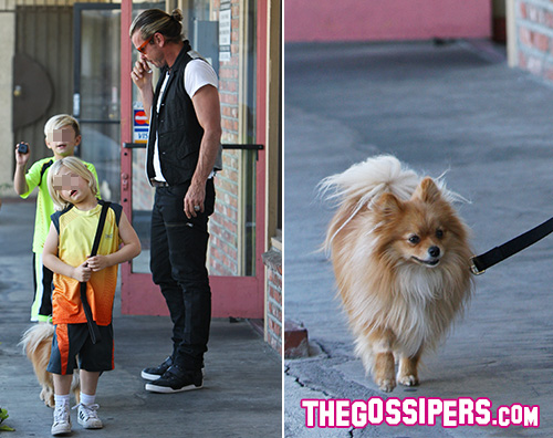 Gwen Stefani glamour per lagopuntura Gwen Stefani Family Gwen Stefani glamour per lagopuntura