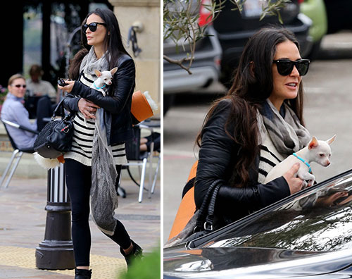 Demi Moore in palestra con il suo cucciolo demi Demi Moore in palestra con il suo cucciolo