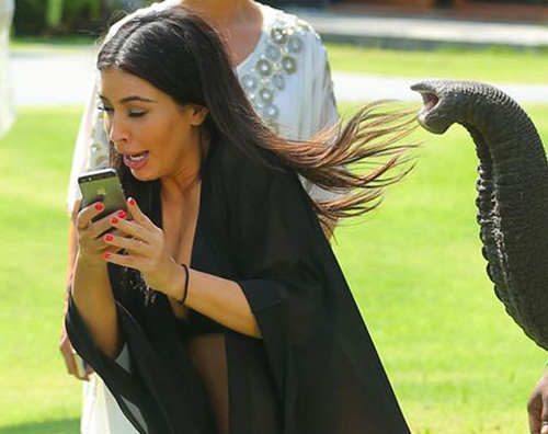 Kardashian Kim Kardashian spaventata da un elefante