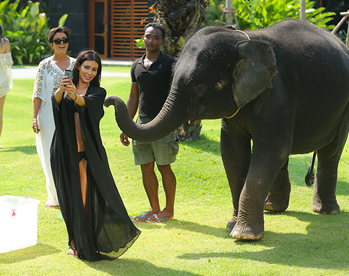 Kim Kim Kardashian spaventata da un elefante