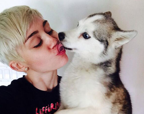passed2 Miley Cyrus piange la perdita del suo cane