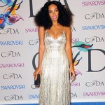 Solange Knowles 150x150 Le trasparenze di Rihanna protagoniste dei CFDA 2014