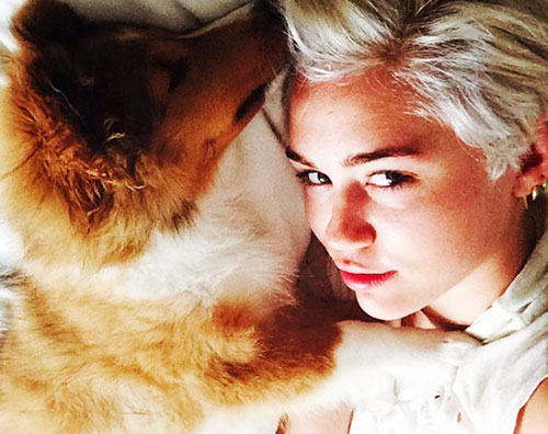 Miley Cyrus adotta un nuovo cucciolo miley Miley Cyrus adotta un nuovo cucciolo