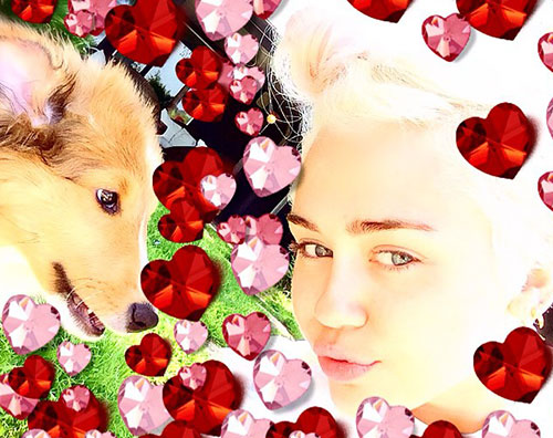 Miley Cyrus adotta un nuovo cucciolo miley26 Miley Cyrus adotta un nuovo cucciolo
