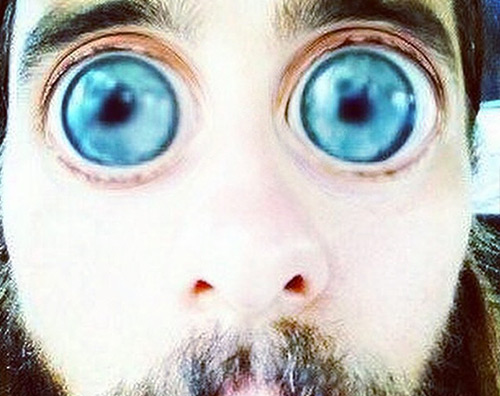 Jared Leto Indovina la star dagli occhi di lemure
