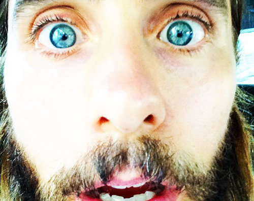 Jared2 Indovina la star dagli occhi di lemure