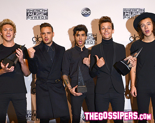 OneDirection AMAs 2014: La lista dei vincitori