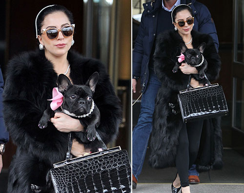 LadyGaga Lady Gaga è elegante a New York