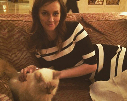 leighton meester Leighton Meester si rilassa con un gattino