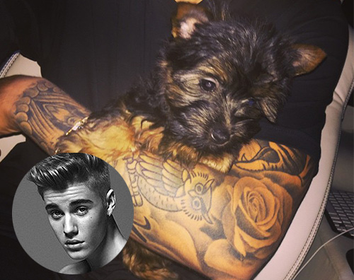 Justin Bieber  Justin Bieber adotta una cagnolina