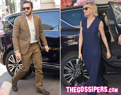 Jake Gyllenhaal Sienna Miller Festival di Cannes 2015: incontro informale per la giuria