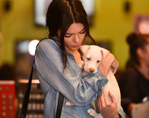 Kendall Jenner Kendall Jenner porta a casa un nuoco cucciolo